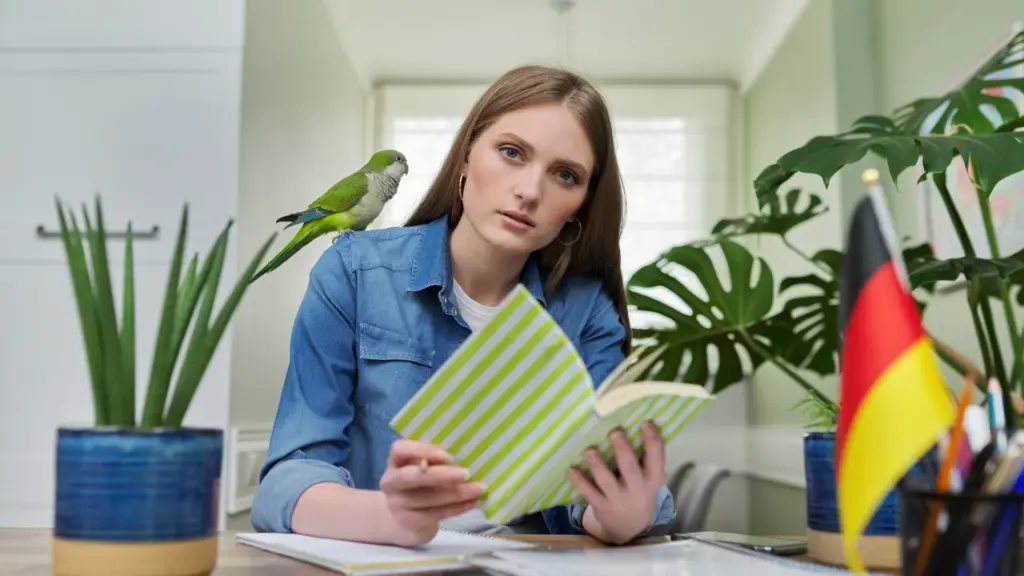 goethe sprechen konuşma sınavı hazırlık